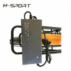 Xe Đạp Trợ Lực ADORE 24 INCH Hàng Xuất Châu Âu