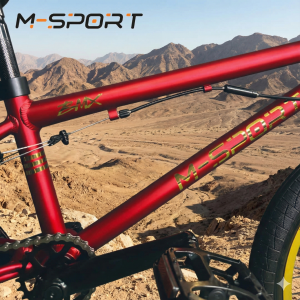 XE ĐẠP THỂ THAO M-SPORT BMX M102T 20 INCH KHUNG THÉP CHẮC CHẮN
