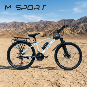 XE ĐẠP MTB MSPORT M210  HỢP KIM THÉP, BỘ ĐỀ 24 TỐC ĐỘ 